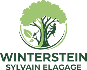 elagage-winterstein-warren-elagage